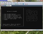 FreeBSD: установка и настройка на VMware (2010/RUS)